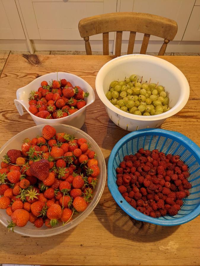 Black Isle Bed And Breakfast Avoch 외부 사진